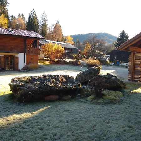 Huettenzauber Ferienwohnung Mitten Im Nationalpark Lindberg ภายนอก รูปภาพ