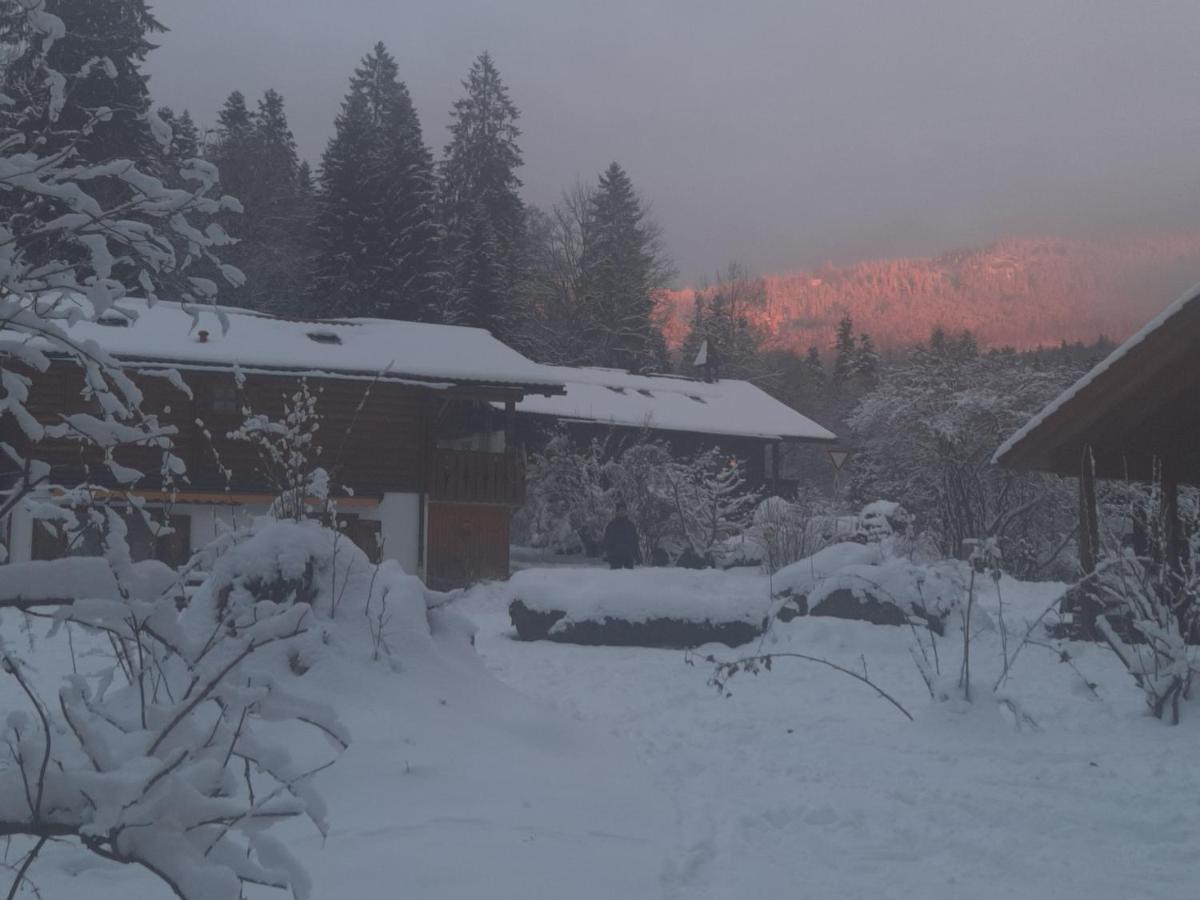 Huettenzauber Ferienwohnung Mitten Im Nationalpark Lindberg ภายนอก รูปภาพ