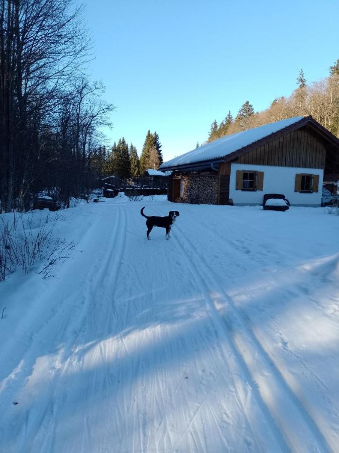 Huettenzauber Ferienwohnung Mitten Im Nationalpark Lindberg ภายนอก รูปภาพ