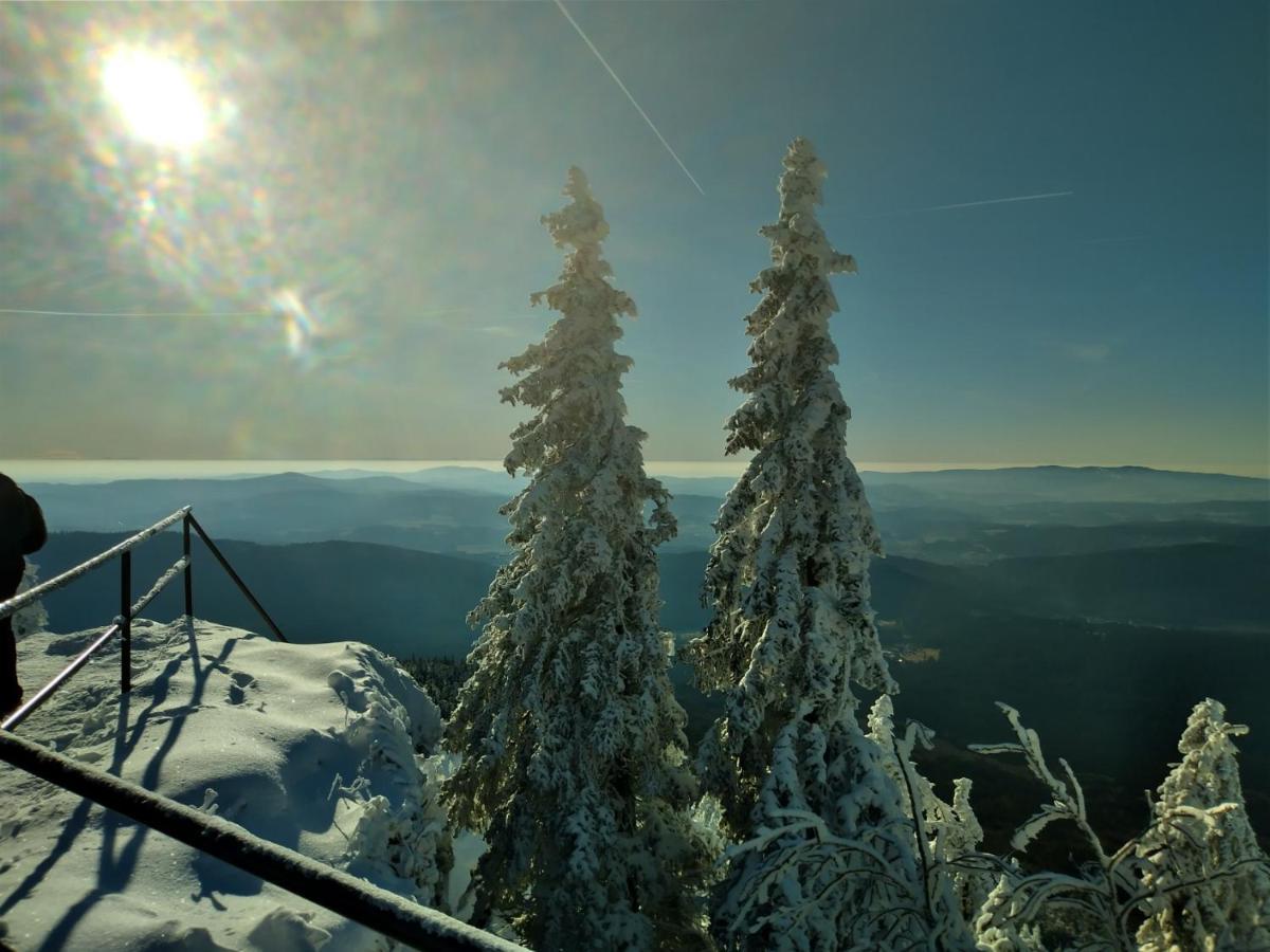 Huettenzauber Ferienwohnung Mitten Im Nationalpark Lindberg ภายนอก รูปภาพ