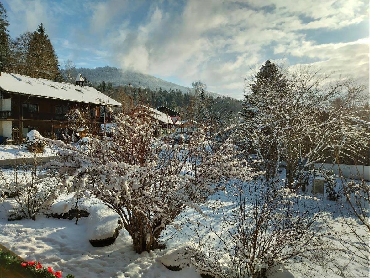 Huettenzauber Ferienwohnung Mitten Im Nationalpark Lindberg ภายนอก รูปภาพ